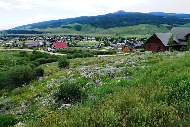 60 Zeligman St, Crested Butte, CO 81224