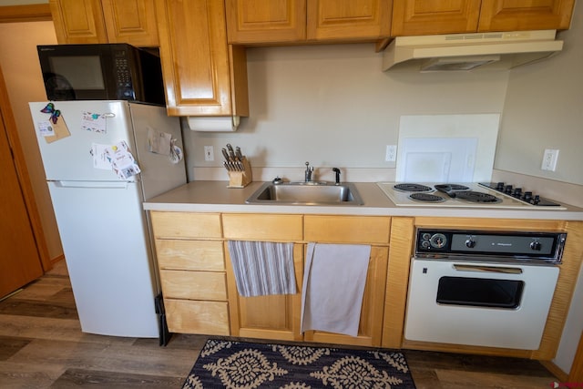 kitchen featuring a sink, dark wood finished floors, under cabinet range hood, and white appliances