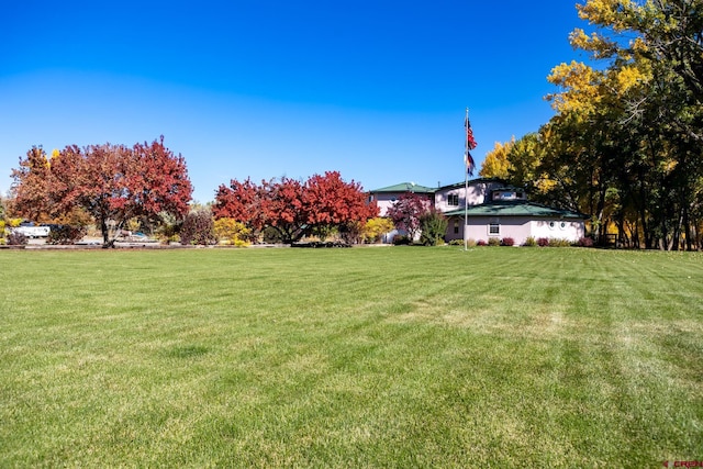 view of yard