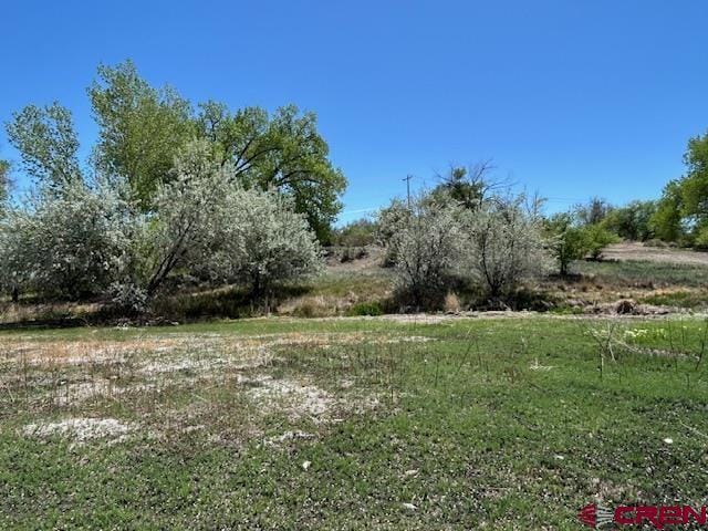 1209 E 3rd St, Delta, CO 81416