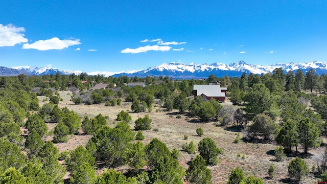 TBD Canyon Dr, Ridgway, CO 81432