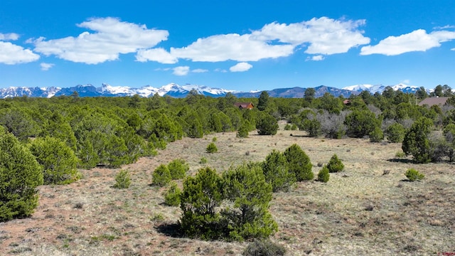 TBD Canyon Dr, Ridgway, CO 81432