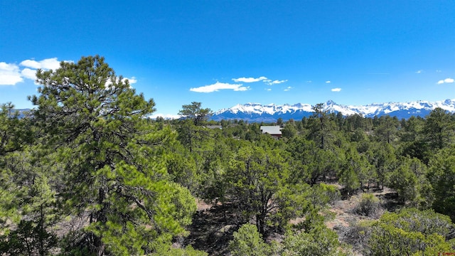 TBD Canyon Dr, Ridgway, CO 81432
