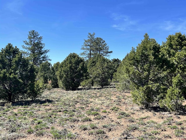 TBD Canyon Dr, Ridgway, CO 81432
