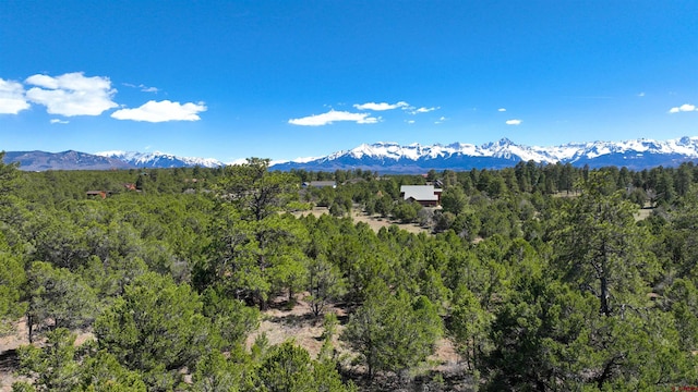 TBD Canyon Dr, Ridgway, CO 81432