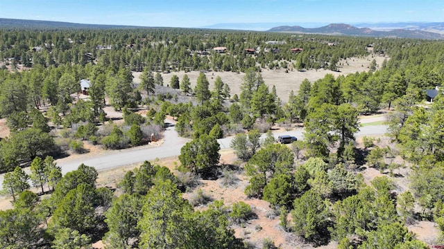 TBD Canyon Dr, Ridgway, CO 81432