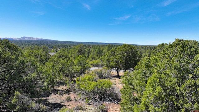 TBD Canyon Dr, Ridgway, CO 81432