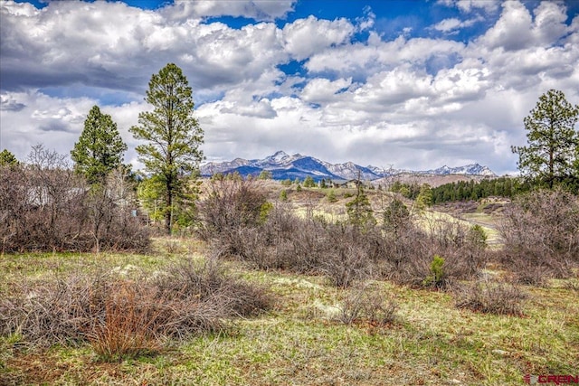 70 Trinity Ct, Pagosa Springs, CO 81147