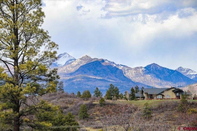 70 Trinity Ct, Pagosa Springs, CO 81147