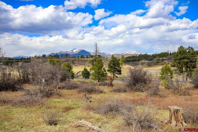 70 Trinity Ct, Pagosa Springs, CO 81147