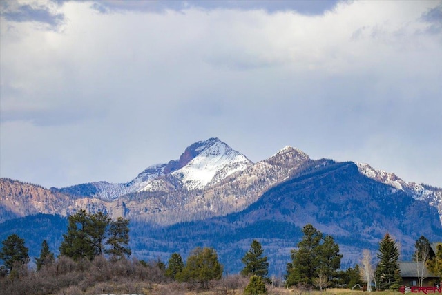 70 Trinity Ct, Pagosa Springs, CO 81147