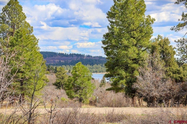 70 Trinity Ct, Pagosa Springs, CO 81147