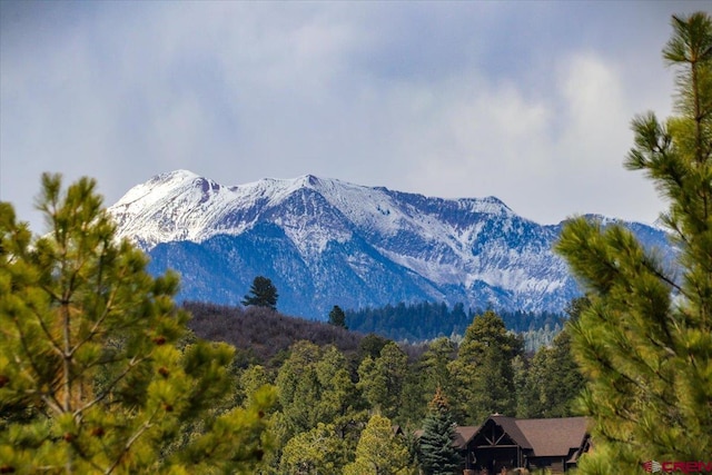 70 Trinity Ct, Pagosa Springs, CO 81147