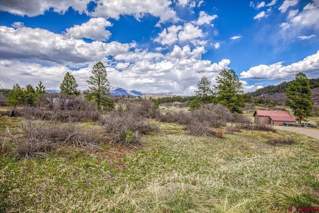 70 Trinity Ct, Pagosa Springs, CO 81147