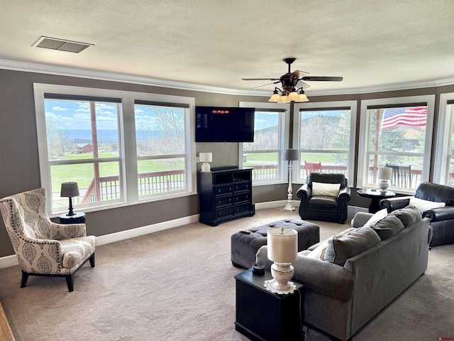 22876 Thunder Mountain Ln, Cedaredge, CO 81413 - living room with visible vents, ornamental molding, baseboards, ceiling fan, and a textured ceiling