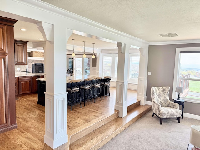 22876 Thunder Mountain Ln, Cedaredge, CO 81413 - interior space featuring crown molding, light wood finished floors, and a textured ceiling