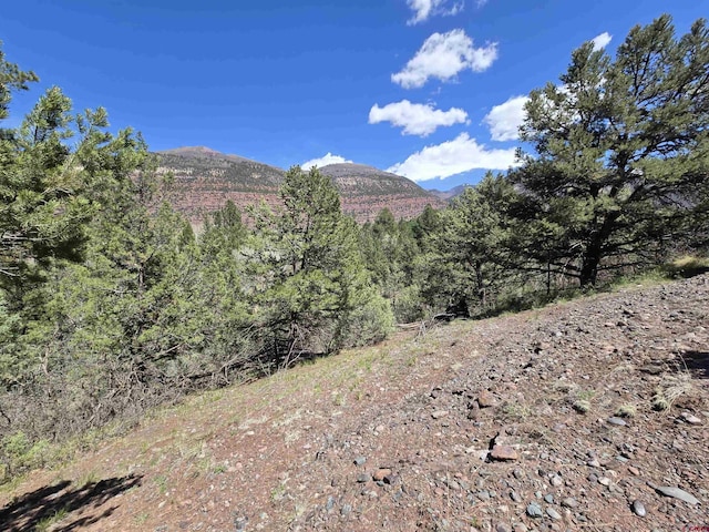 238 Pine Rdg, Ridgway, CO 81432
