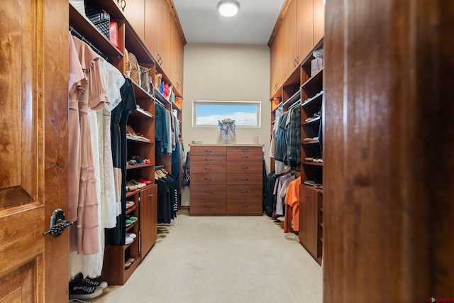 714 Washington Ct, Grand Junction, CO 81507 - walk in closet with light colored carpet
