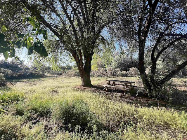714 Washington Ct, Grand Junction, CO 81507 - view of yard