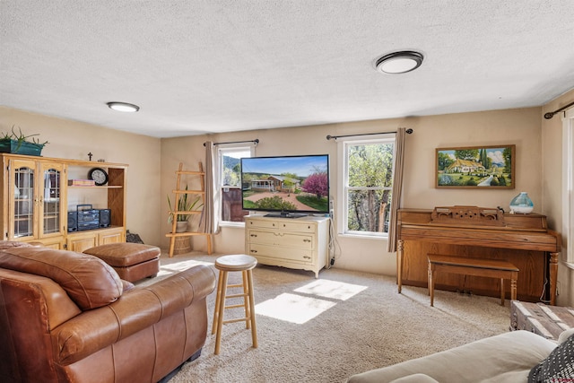 living room with carpet flooring and a textured ceiling