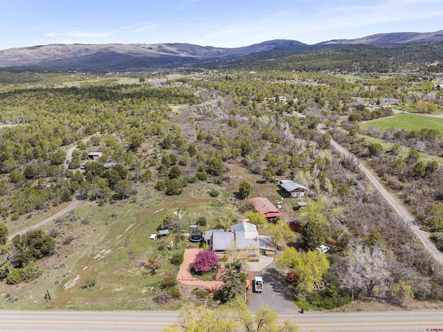 birds eye view of property featuring a mountain view