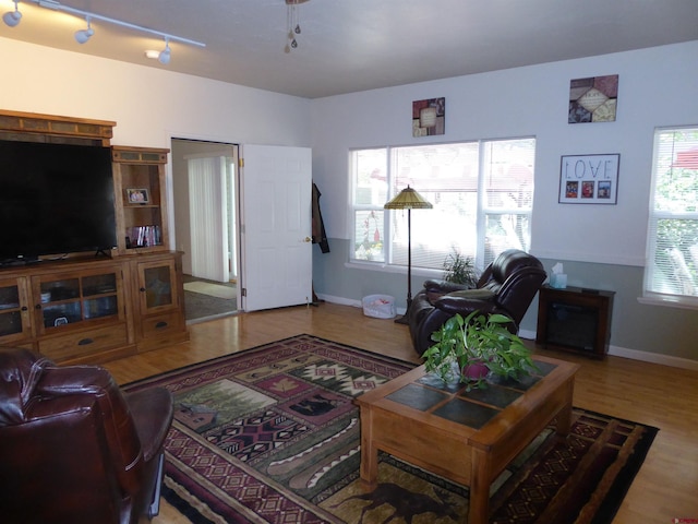 living area with wood finished floors, baseboards, and a healthy amount of sunlight