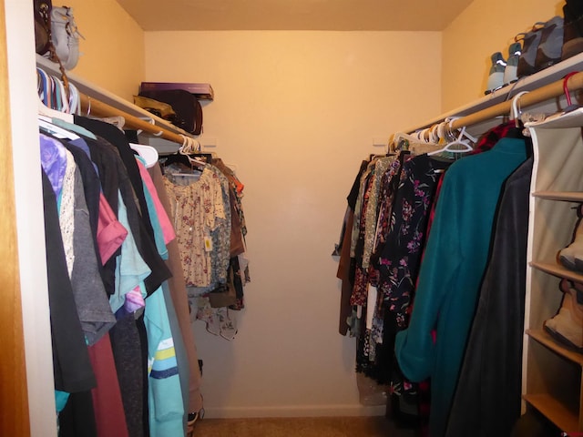 spacious closet with carpet