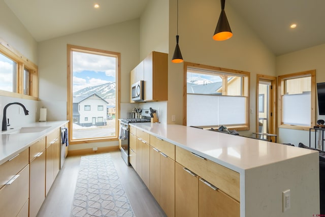 kitchen with a sink, a peninsula, stainless steel appliances, and a wealth of natural light