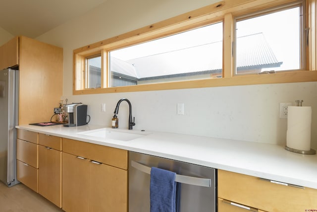 kitchen with light countertops, stainless steel appliances, a sink, and plenty of natural light