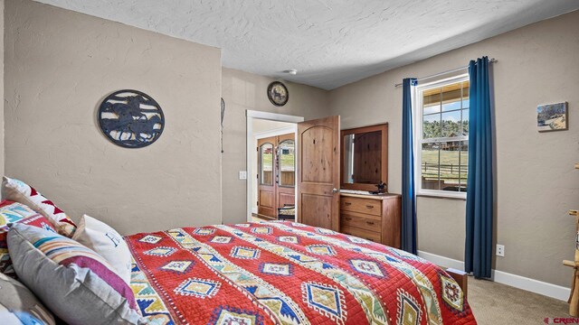 2605 Antler Ct, Crawford, CO 81415 - carpeted bedroom featuring a textured ceiling, baseboards, and a textured wall