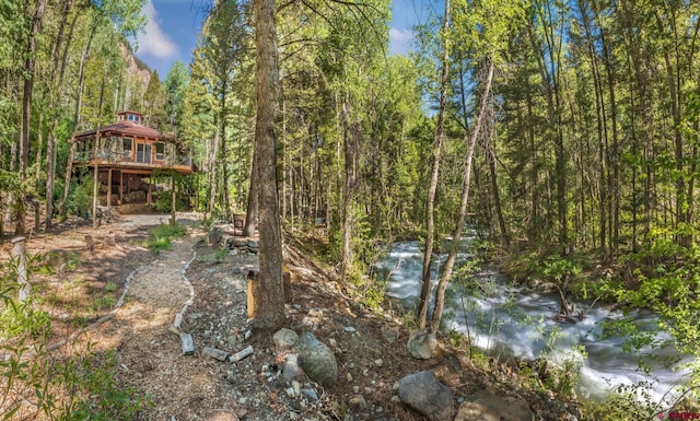 226 Lake Fork Junction Rd, Ophir, CO 81426 - view of local wilderness with a wooded view