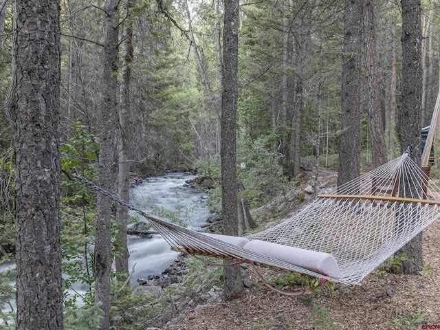 226 Lake Fork Junction Rd, Ophir, CO 81426 - view of yard with a forest view
