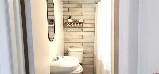 bathroom featuring toilet, wooden walls, and a sink