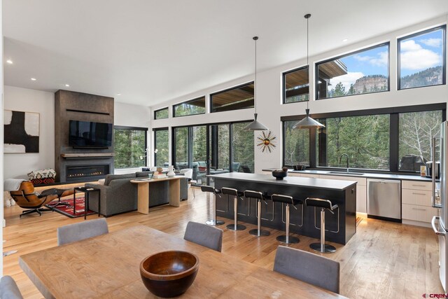 interior space featuring a sink, stainless steel appliances, and light wood-type flooring