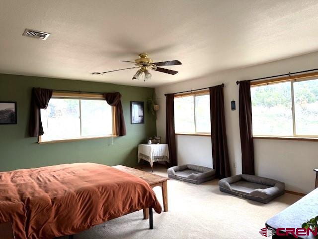 30022 Rd L, Mancos, CO 81328 - carpeted bedroom featuring multiple windows, visible vents, and ceiling fan