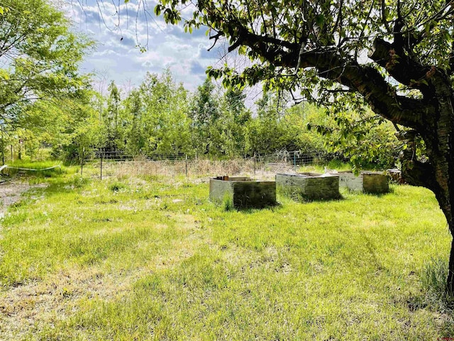 view of yard with fence and a vegetable garden