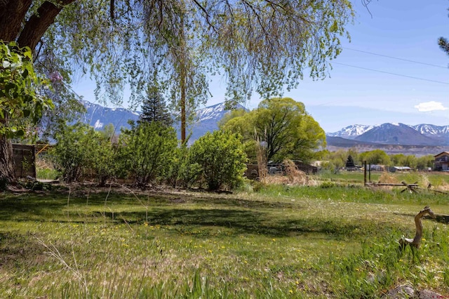 view of yard featuring a mountain view