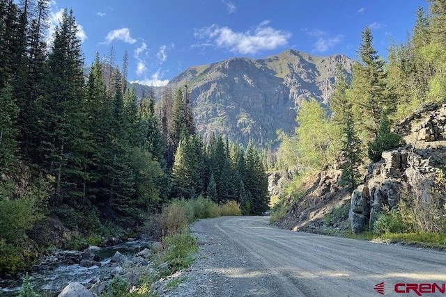 18THAND Animas St, Silverton, CO 81433