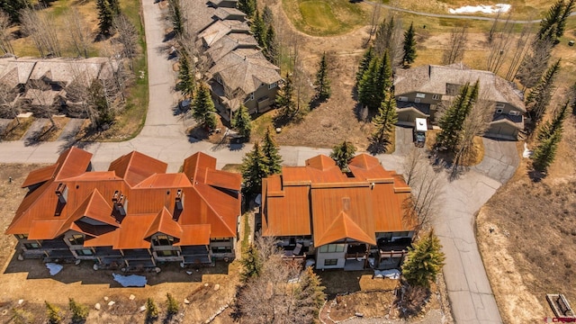 drone / aerial view