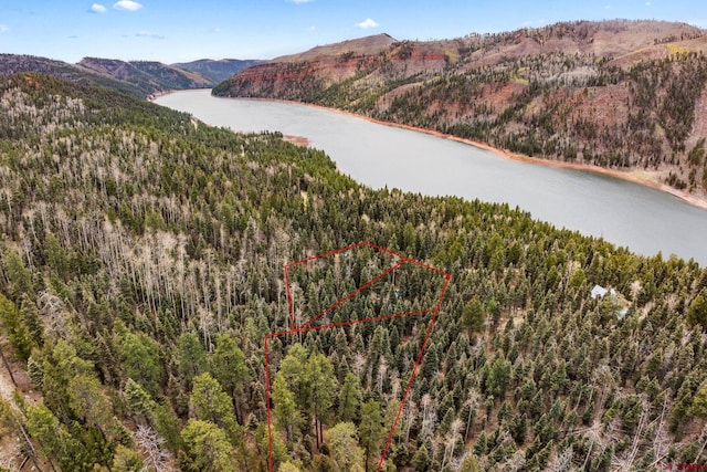 drone / aerial view with a water and mountain view and a view of trees
