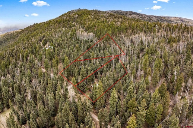 birds eye view of property featuring a forest view and a mountain view