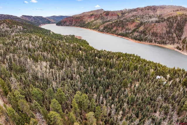 bird's eye view featuring a water and mountain view and a forest view