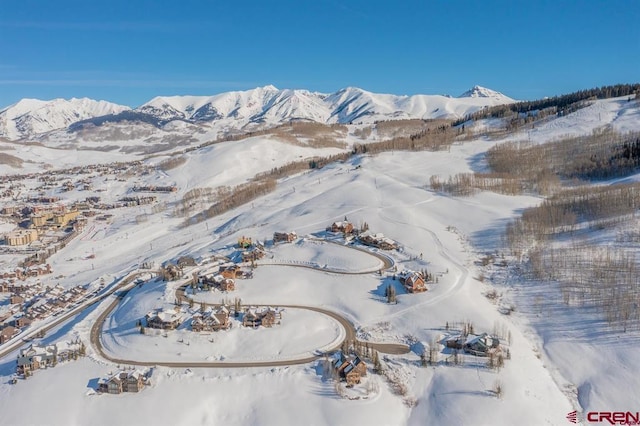 57 Summit Rd, Mount Crested Butte, CO 81225