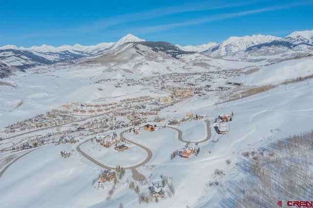57 Summit Rd, Mount Crested Butte, CO 81225