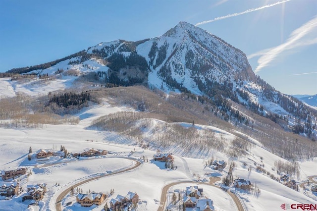 57 Summit Rd, Mount Crested Butte, CO 81225