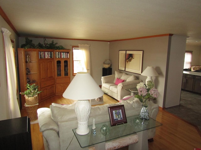 living area with wood finished floors and crown molding