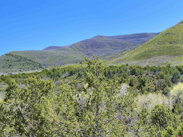 TBD County Road 306 Road, Parachute, CO 81635