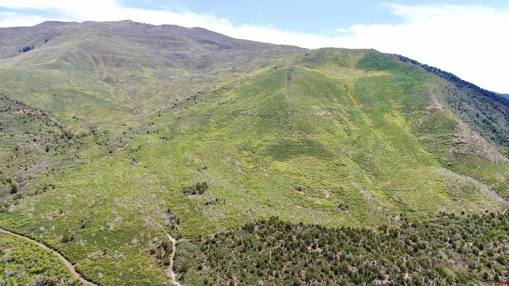 TBD County Road 306 Road, Parachute, CO 81635
