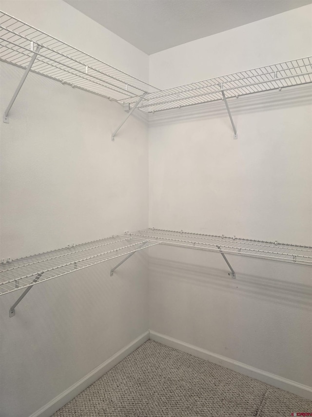 369 Beaver Cir, Pagosa Springs, CO 81147 - walk in closet with carpet floors