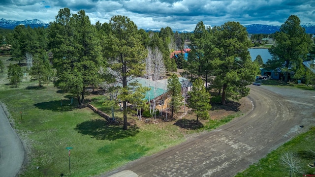 369 Beaver Cir, Pagosa Springs, CO 81147 - aerial view of a mountainous background
